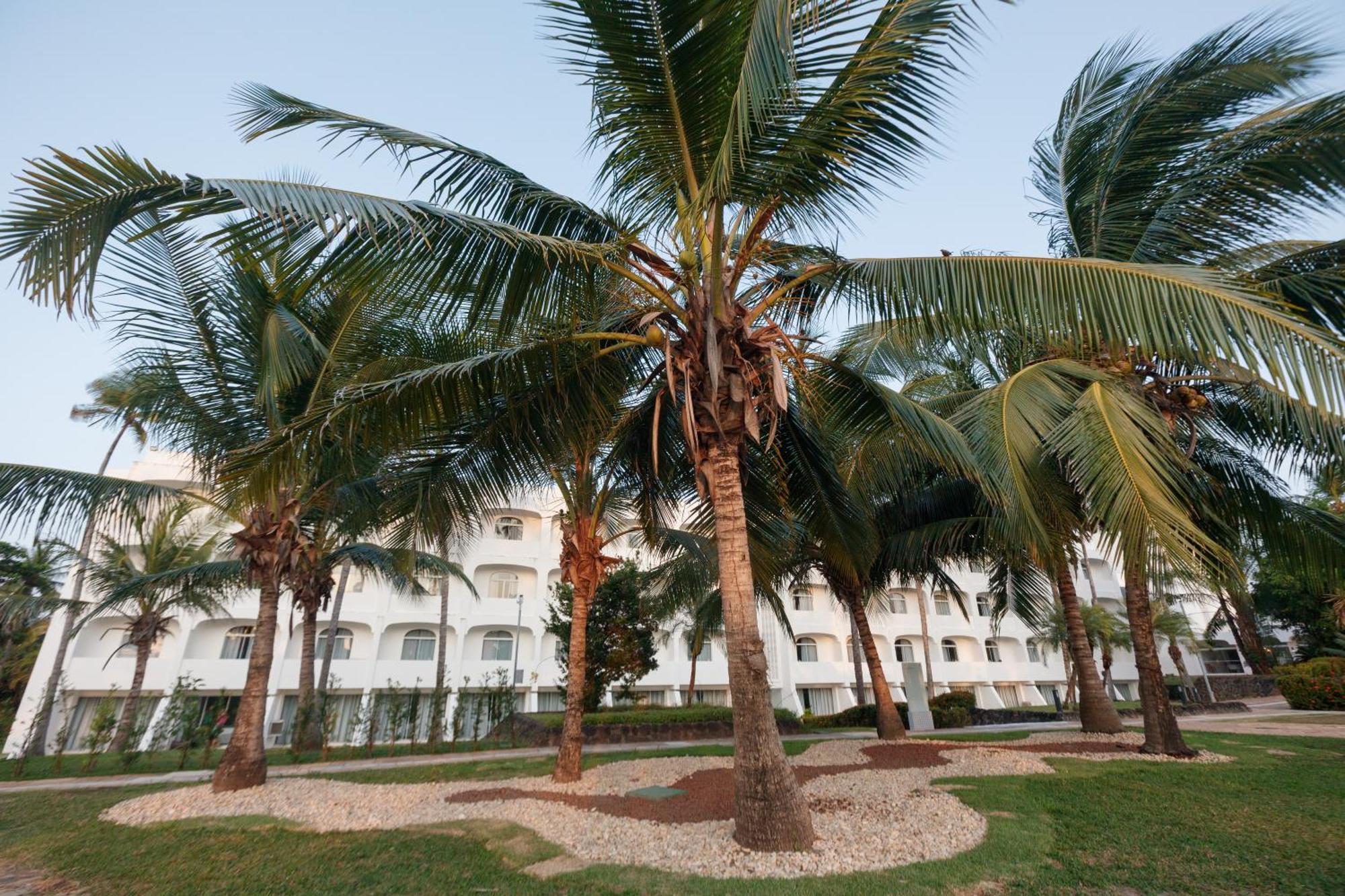 Hotel Blue Tree Towers Sao Luis Exteriér fotografie Coconut trees in the city